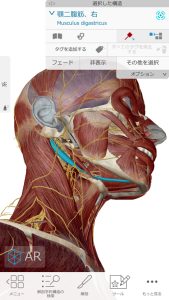 不眠症や偏頭痛の解消の為の施術ポイント３顎下
