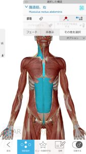 不眠症や偏頭痛の解消の為の施術ポイント7腹部への連動